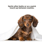 BioSilk For Dogs Detangling and Shine Spray, , large image number null